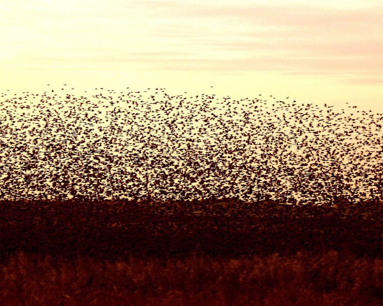 Foto: Bjørn Thunæs / visitdenmark.dk